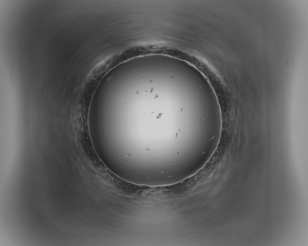 X0000113070967200909041054