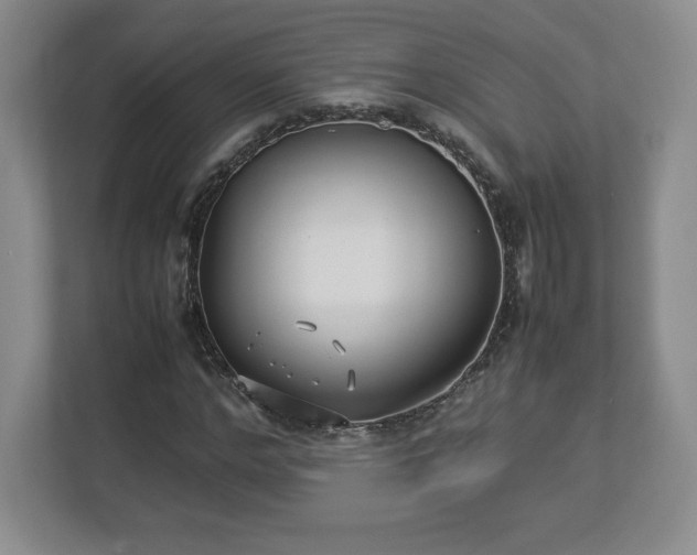 X0000113070968200909041054