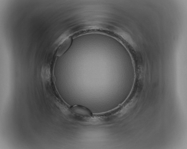 X0000113070969200909041054