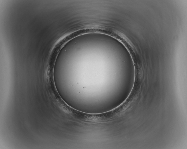 X0000113070971200909041054