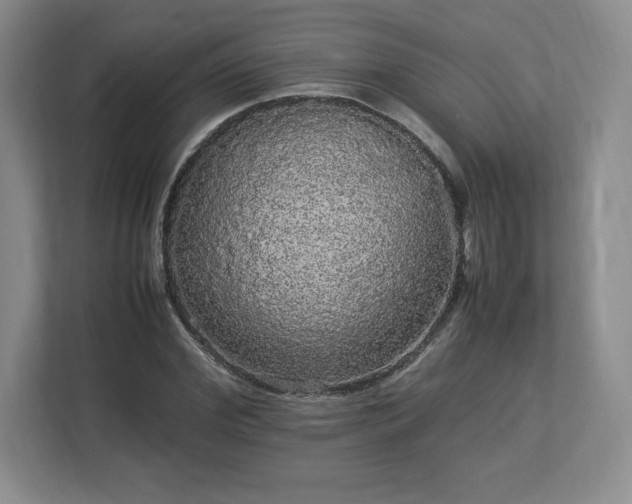 X0000113070972200909041054