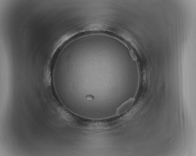 X0000113070973200909041054