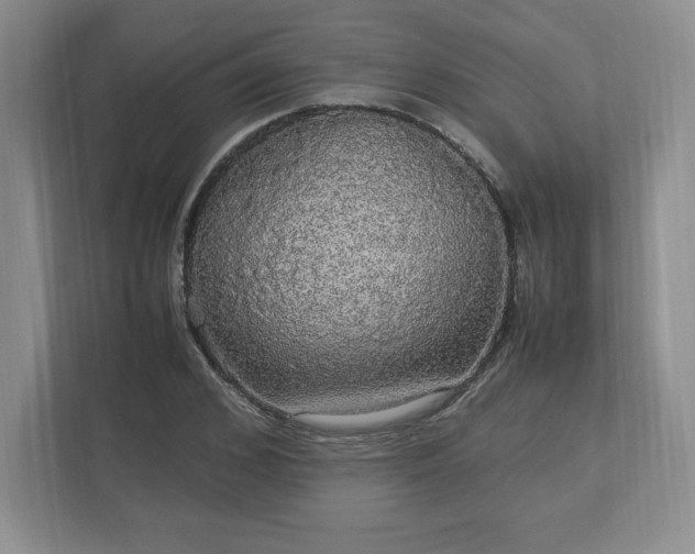 X0000113070976200909041054