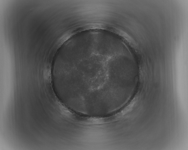 X0000113070977200909041054