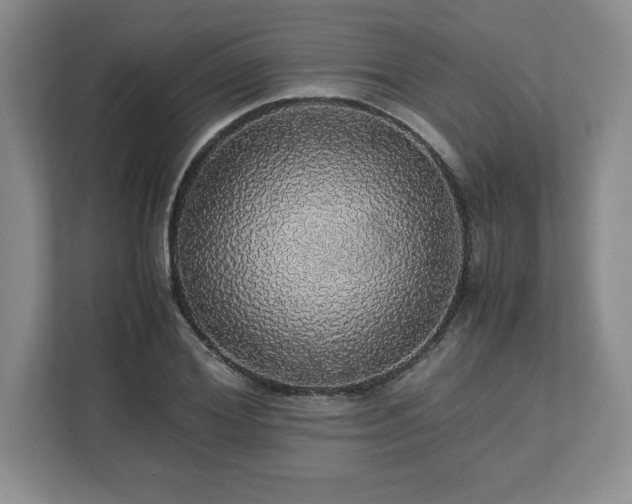 X0000113070980200909041054