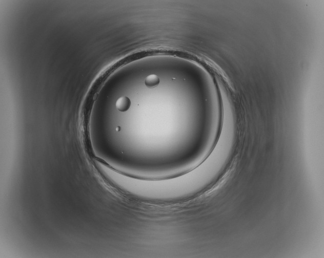 X0000113070981200909041054