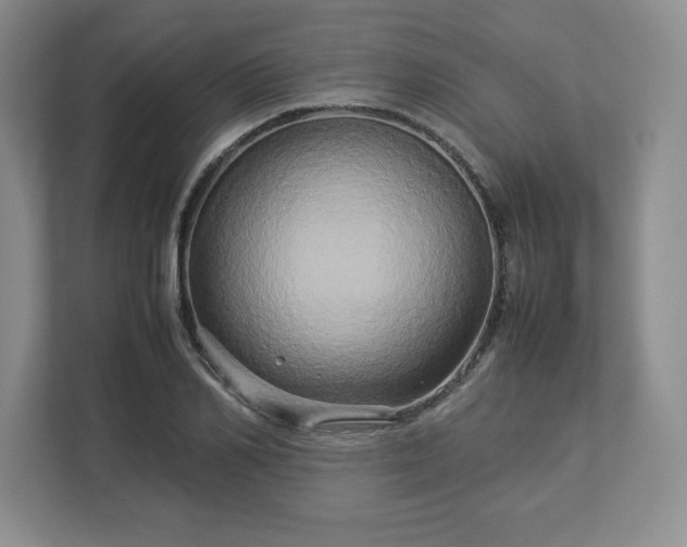 X0000113070982200909041054