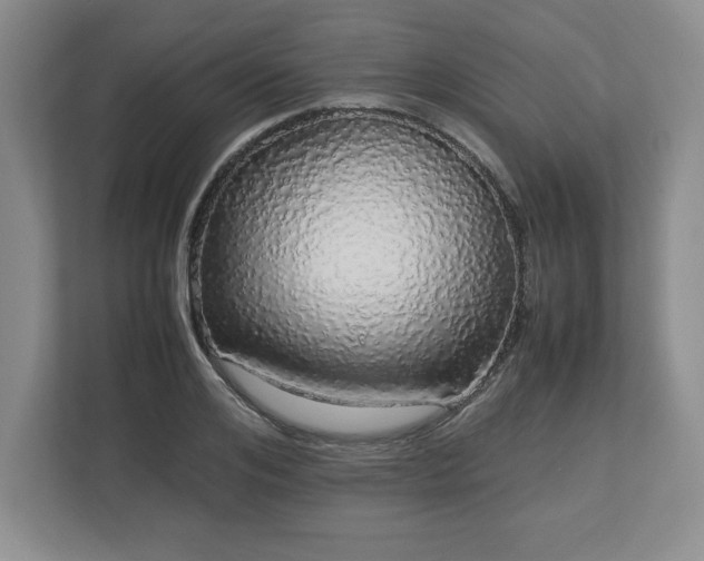 X0000113070984200909041054