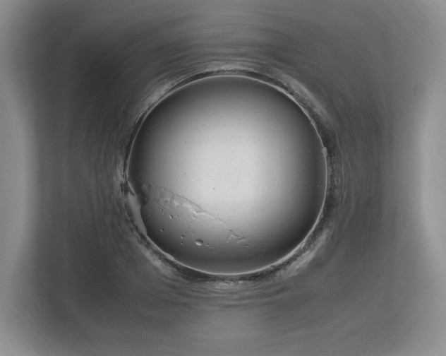 X0000113070985200909041054