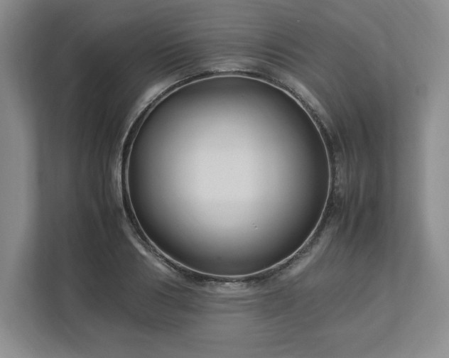 X0000113070986200909041054