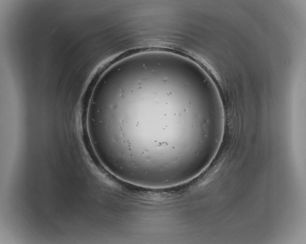 X0000113070987200909041054