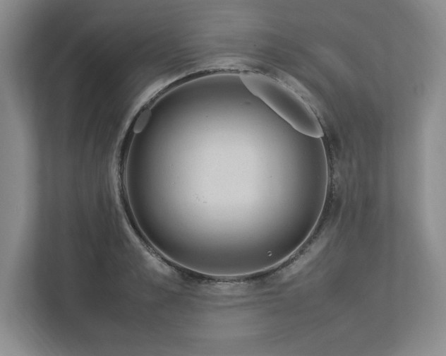 X0000113070989200909041054