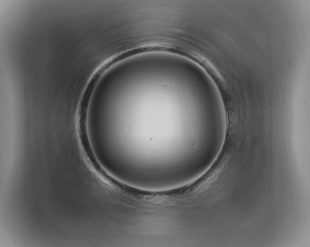 X0000113070991200909041054