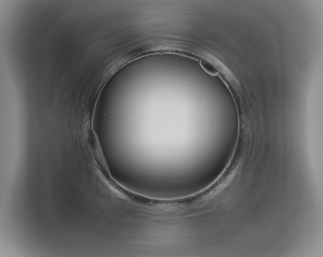 X0000113070993200909041054