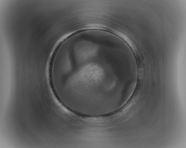 X0000113070995200909041054