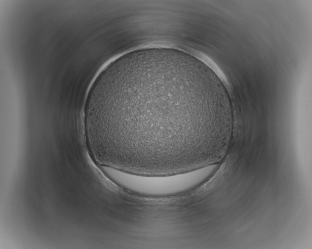 X0000113070996200909041054