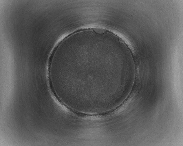 X0000113070998200909041054