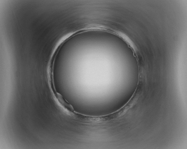 X0000113071003200909041054