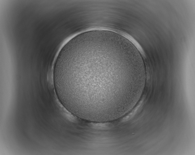 X0000113071004200909041054