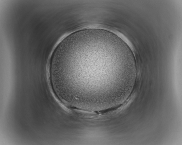 X0000113071005200909041054