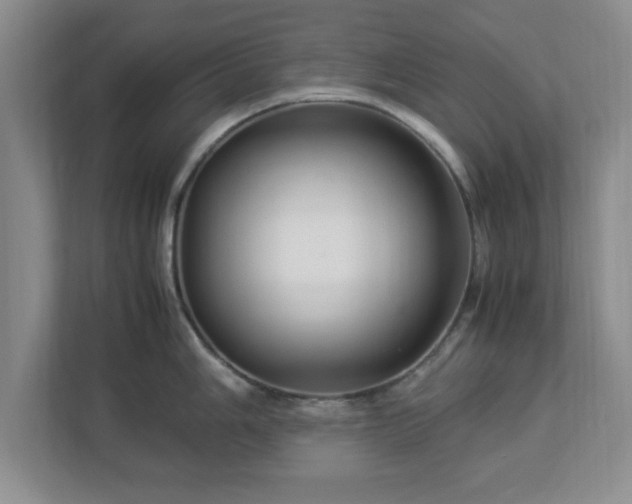 X0000113071006200909041054