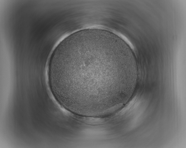 X0000113071007200909041054