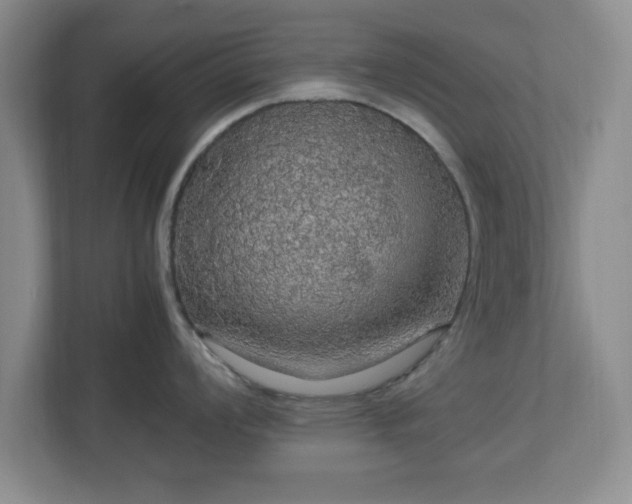 X0000113071008200909041054