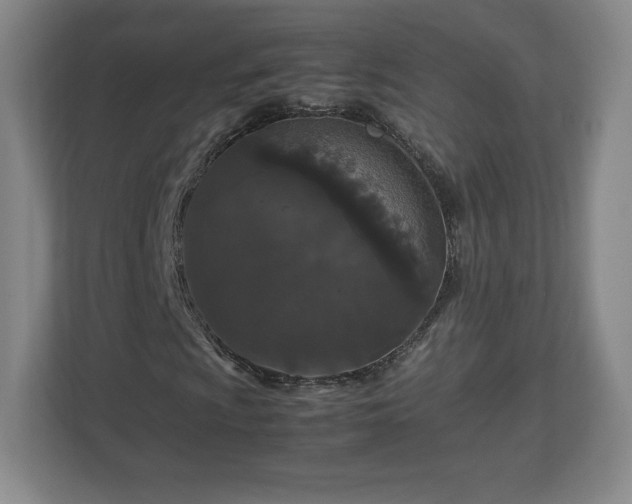 X0000113071009200909041053