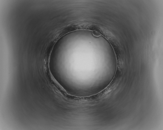 X0000113071010200909041053