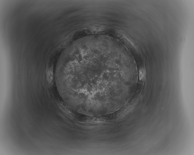 X0000113071011200909041053