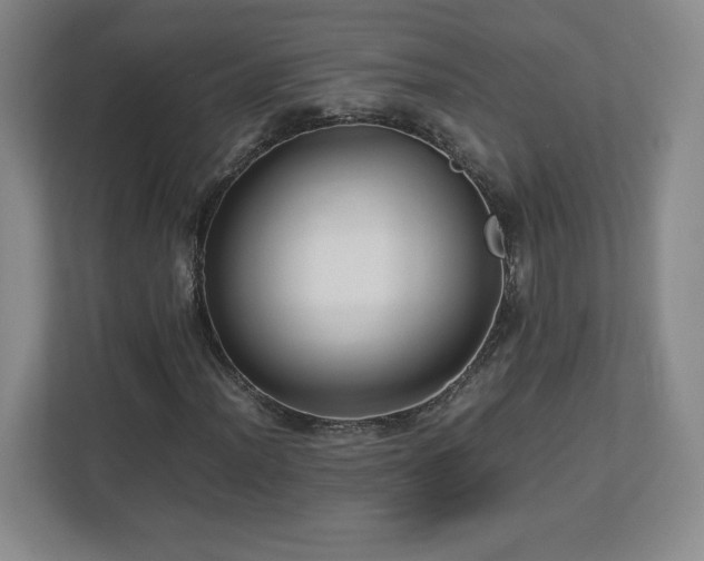 X0000113071012200909041053