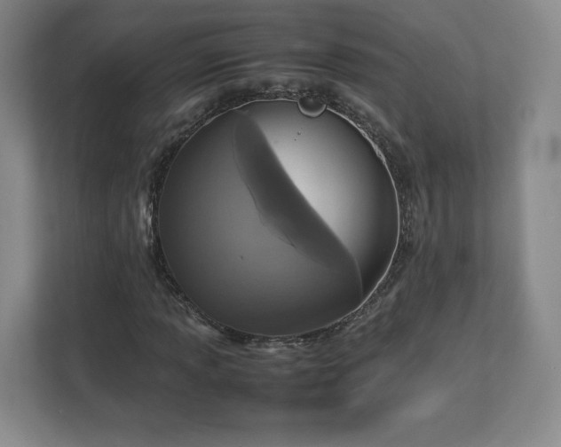 X0000113071013200909041053