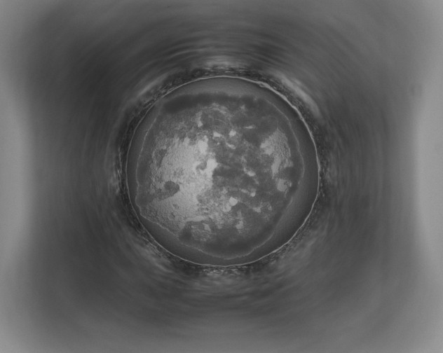 X0000113071015200909041053