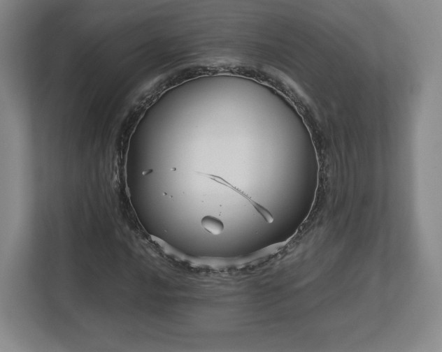 X0000113071016200909041053