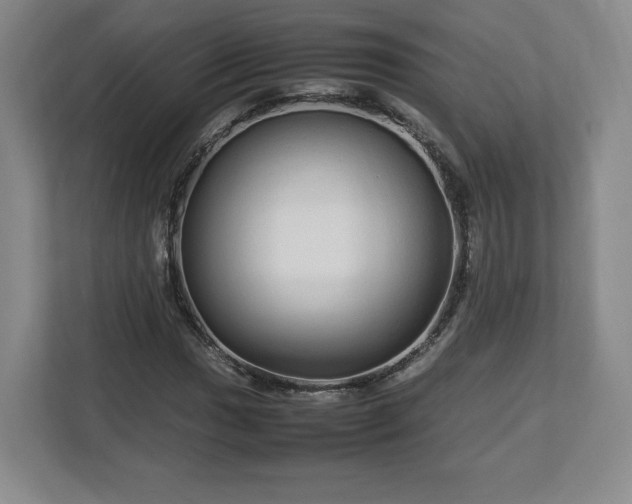 X0000113071017200909041053