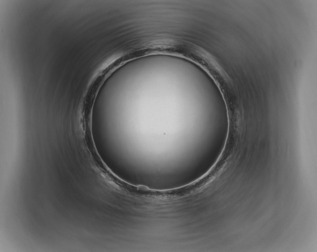 X0000113071018200909041053