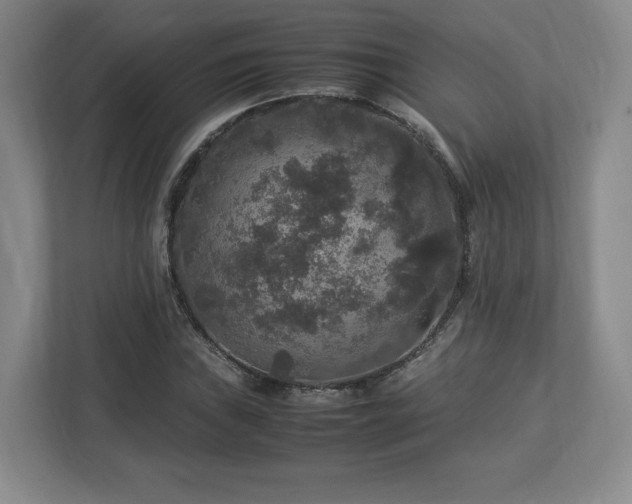 X0000113071019200909041053