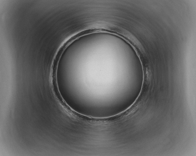 X0000113071020200909041053