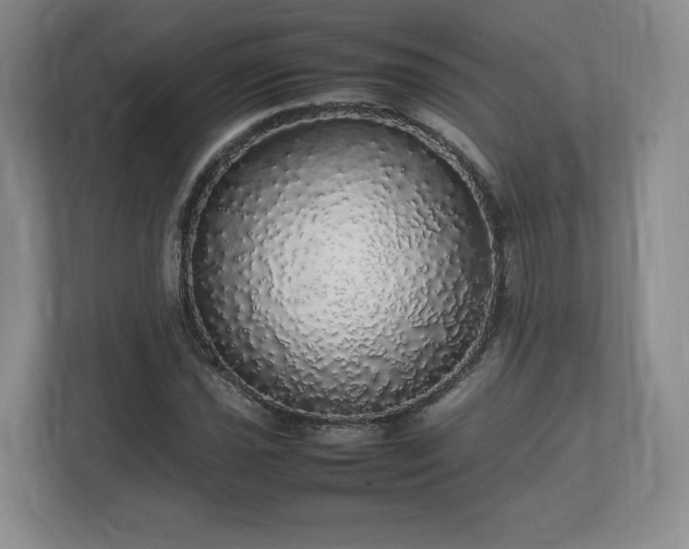 X0000113071021200909041053