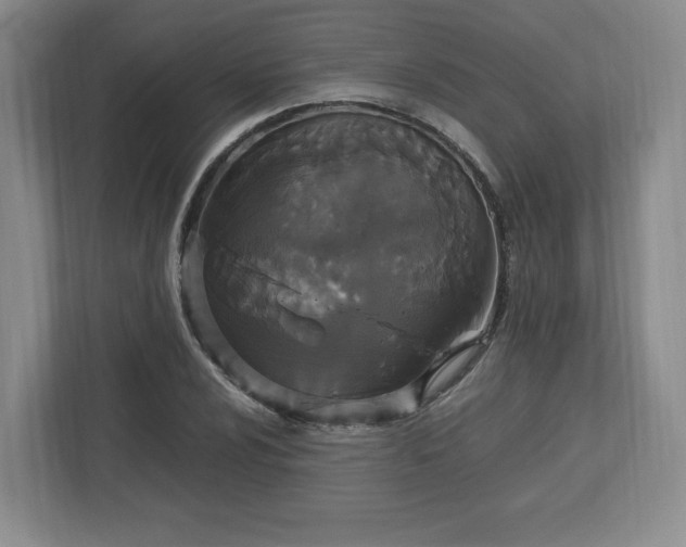 X0000113071024200909041053