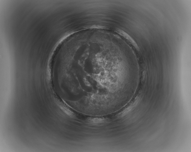 X0000113071027200909041053