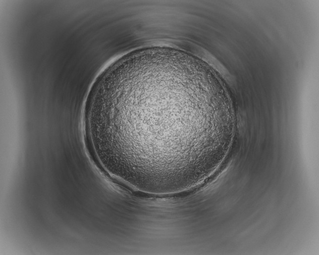 X0000113071028200909041053