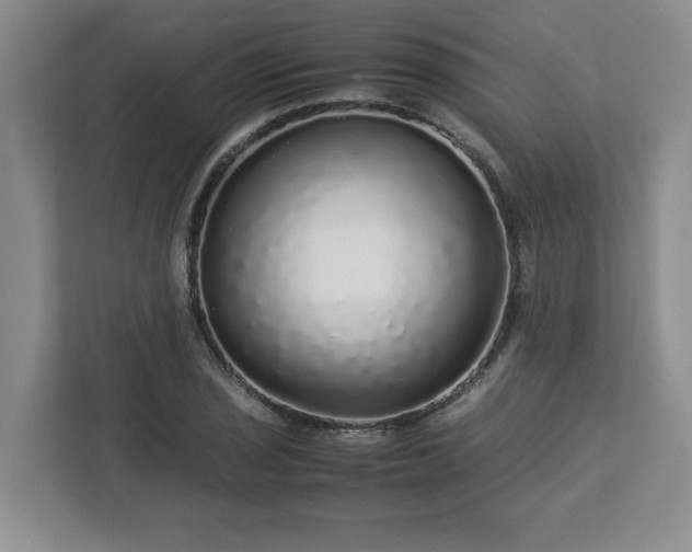 X0000113071029200909041054