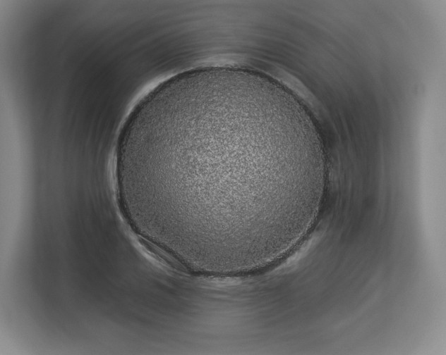 X0000113071030200909041054