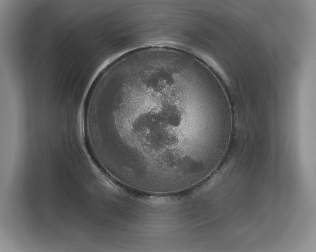 X0000113071032200909041054