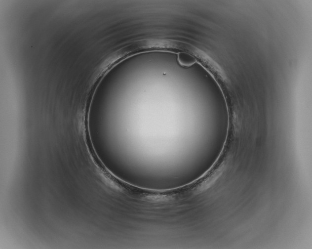 X0000113071033200909041054