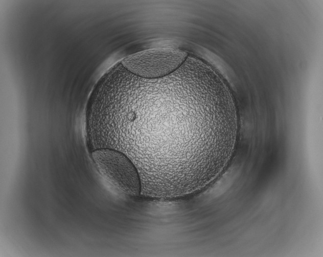 X0000113071034200909041054