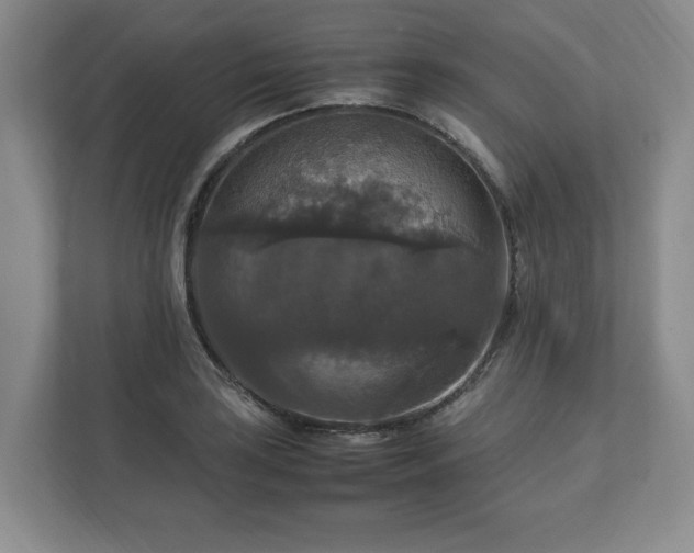 X0000113071035200909041054