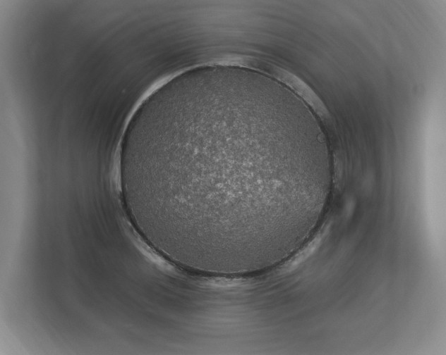 X0000113071036200909041054