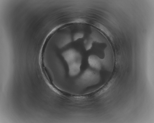 X0000113071037200909041054